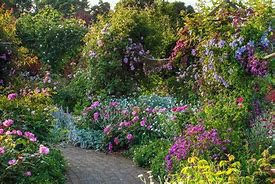 Rosemoor_01