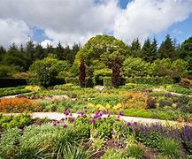 Rosemoor_03